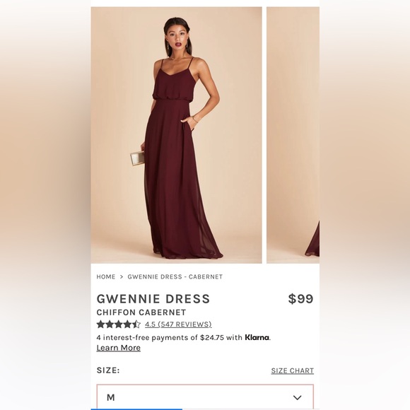 Birdy Grey Dresses & Skirts - Birdy Grey Gwennie Cabernet Chiffon No Slits Medium